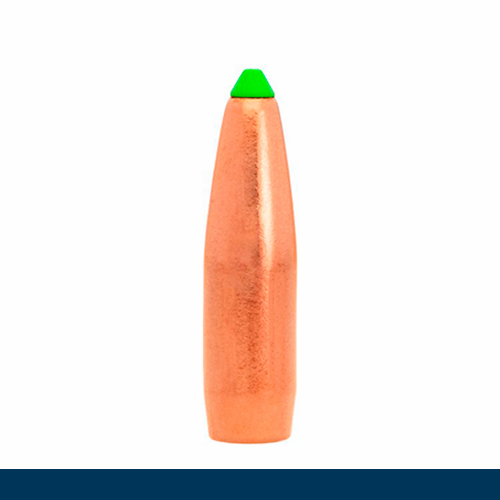 BLYFRI JAGTPROJEKTILER